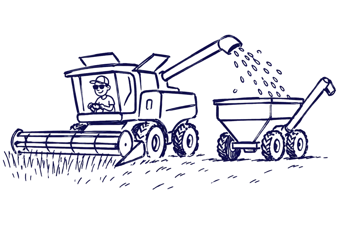 Harvested