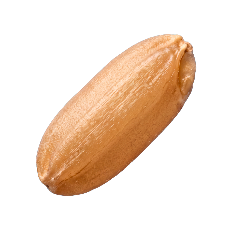 Grain Notes