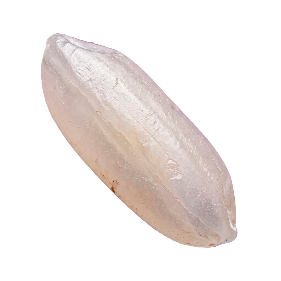 Grain Notes